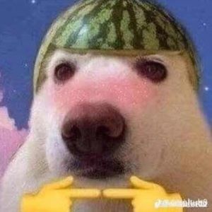 Meet your Posher, Omar